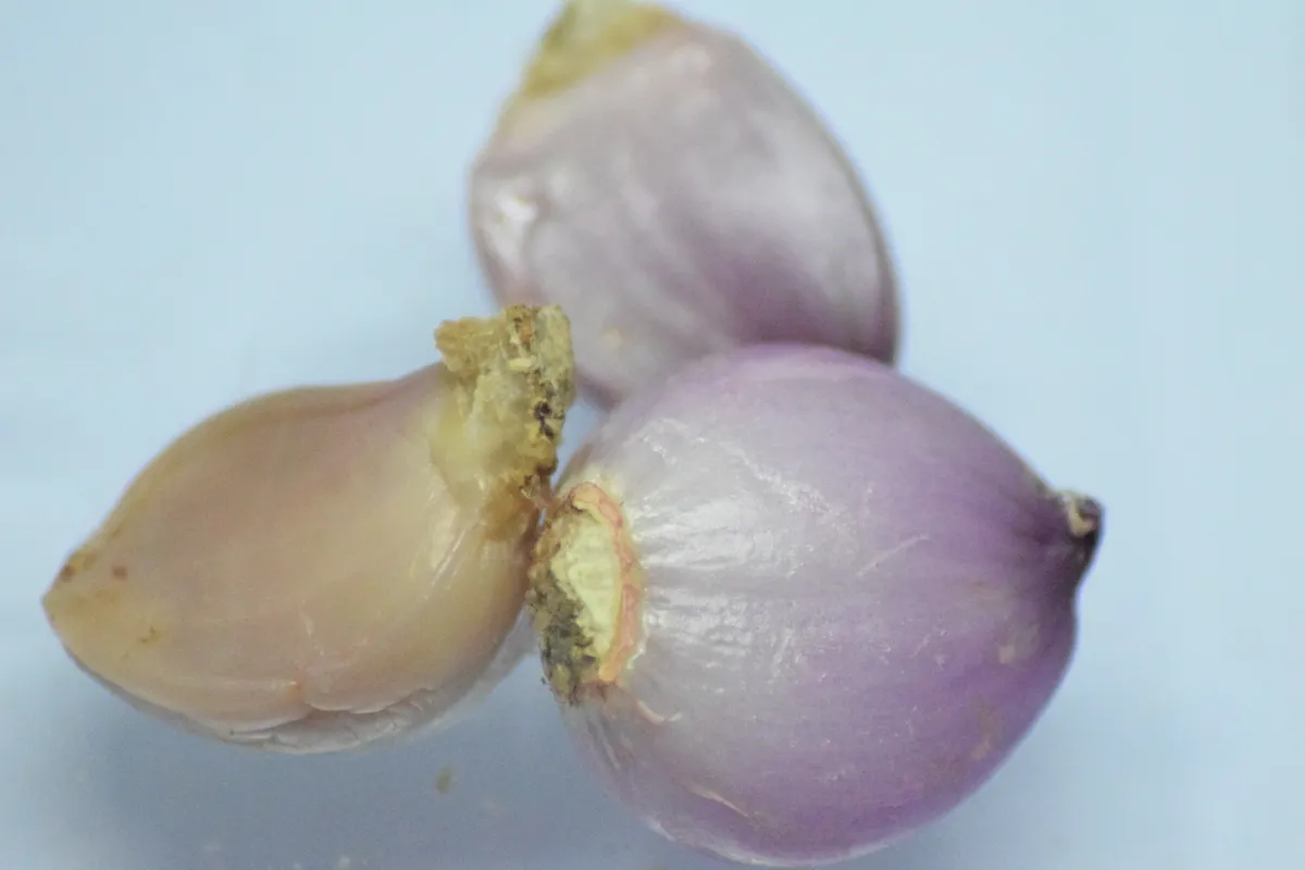 Bawang Merah